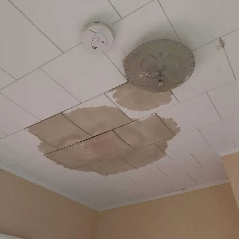 Ceiling Water Damage Repair in Wanakah, NY