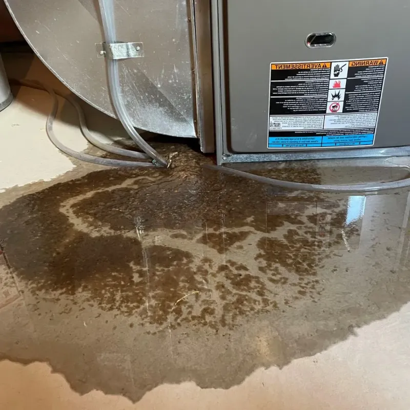 Pipe Burst and Leak Restoration in Wanakah, NY